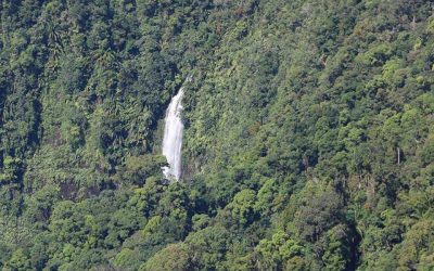 Di celahan hutan tebal, ada air terjun tertinggi di Sarawak
