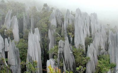 Gunung Mulu adalah puncak batu pasir setinggi 2,376 meter