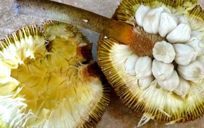 Buah tarap seakan-akan cempedak tapi rasanya seperti kastard epal!