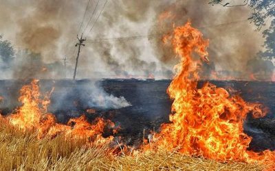 Beberapa kawasan di utara Sarawak terbakar