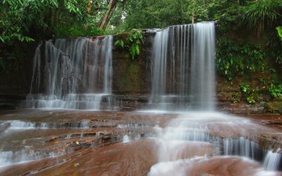 Taman Negara Lambir Hills, syurga 237 spesies haiwan di Sarawak!