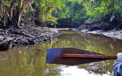 Berkayak dicelah hutan paya bakau Limpaki Wetland yang sangat indah