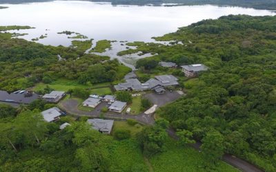 Taman Negara Loagan Bunut, kawasan tasik semula jadi terbesar Sarawak