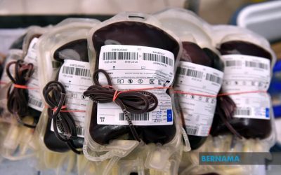 Pesawat C130H TUDM terbangkan 375 bungkusan darah dan spesimen untuk Sabah & Sarawak