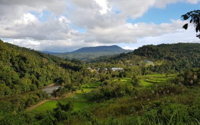 Kawasan luar bandar seperti Mulu dan Marudi tiada jangkitan COVID-19 tersebar