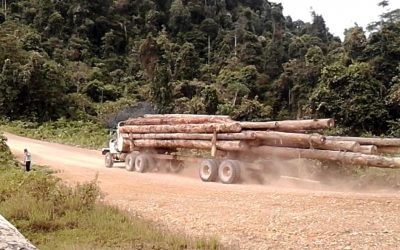 Kenderaan bawa balak yang diluluskan dibenarkan beroperasi waktu PKP