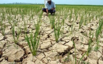 Berikutan perubahan angin monsun barat daya, Sarawak dijangka kemarau