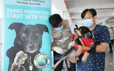 Kerajaan negeri meluluskan peruntukan sebanyak RM10.14 juta untuk hapuskan rabies