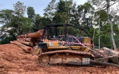 Sebanyak 46 batang kayu haram pelbagai saiz dan jenis termasuk seunit jentolak serta jengkaut dirampas